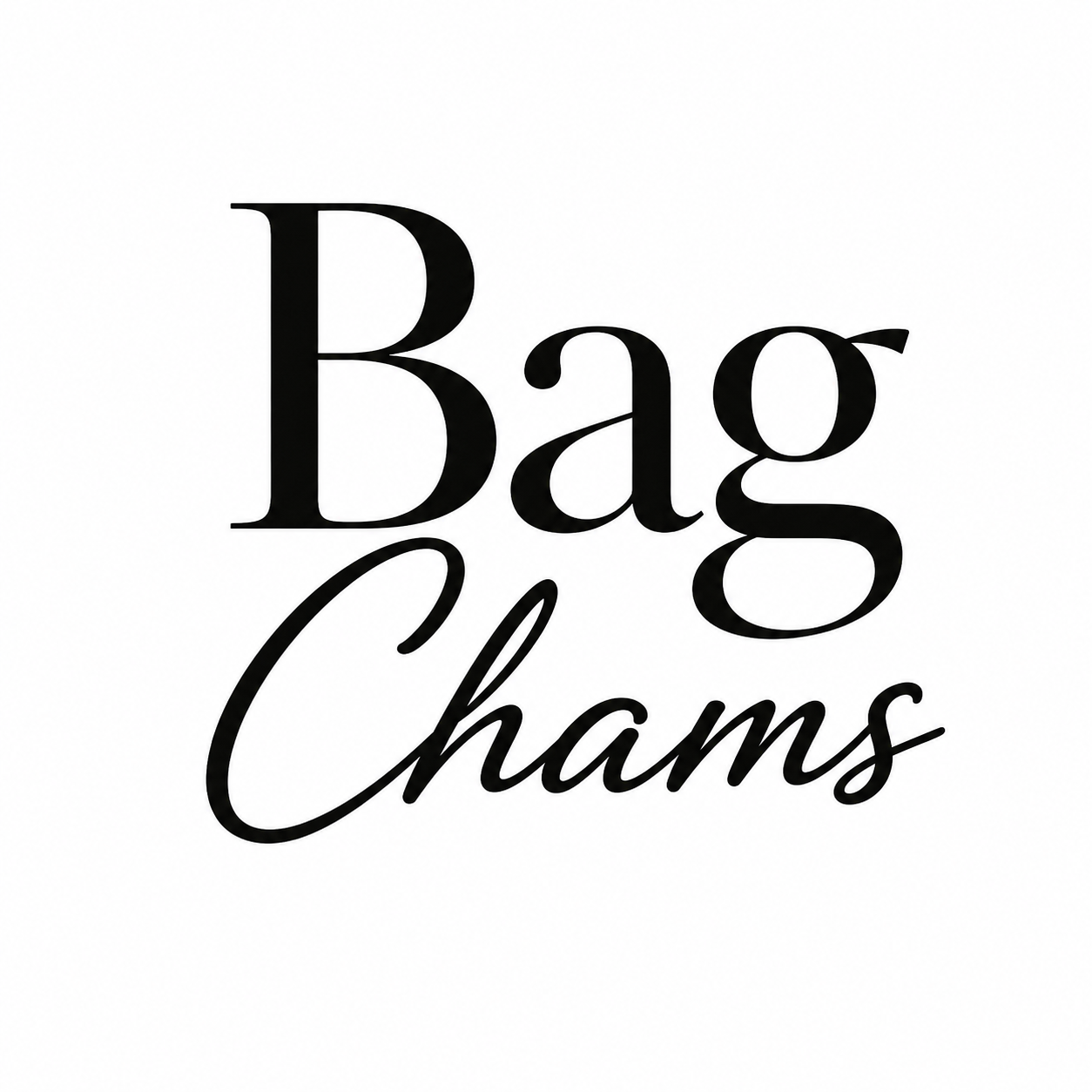 BAG CHARMS