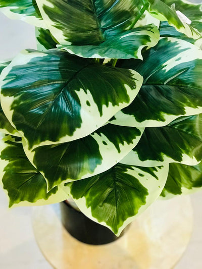 Edge Leaf 3ft Tall Large Artificial Plant