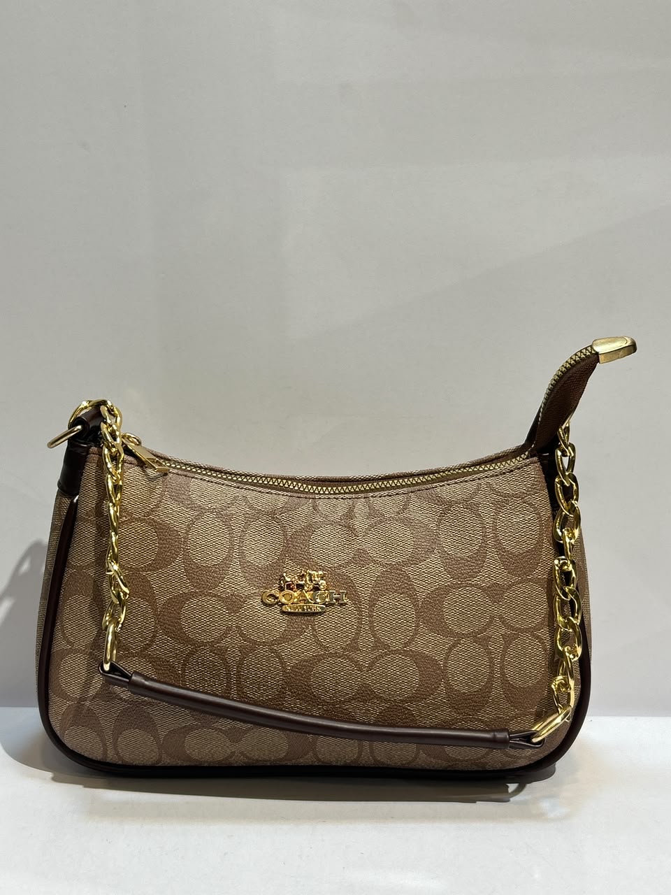 Coach Teri Bag – Elegant & Versatile Everyday Fashion Bag