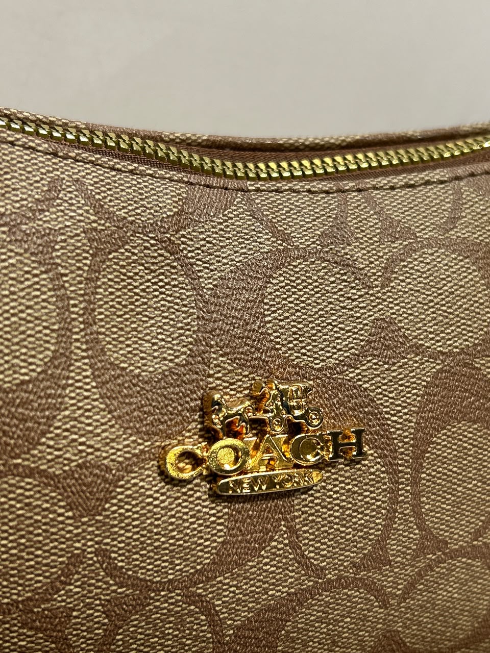 Coach Teri Bag – Elegant & Versatile Everyday Fashion Bag