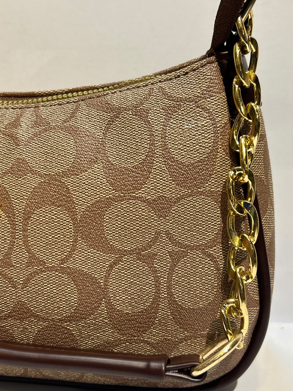Coach Teri Bag – Elegant & Versatile Everyday Fashion Bag
