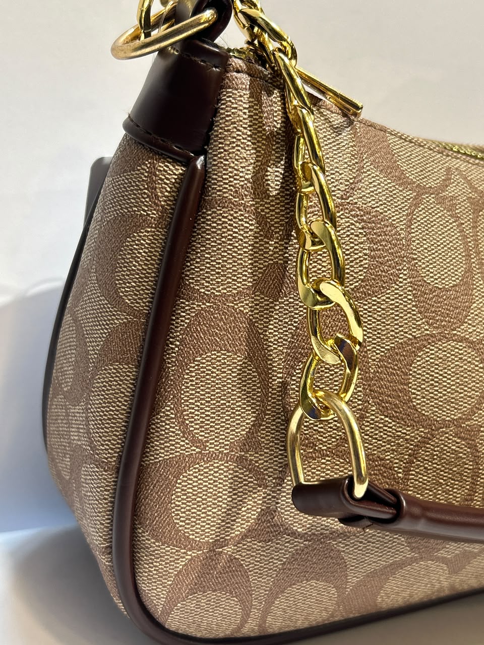 Coach Teri Bag – Elegant & Versatile Everyday Fashion Bag