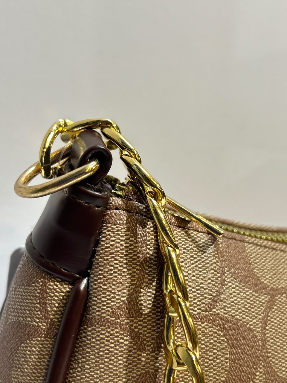 Coach Teri Bag – Elegant & Versatile Everyday Fashion Bag