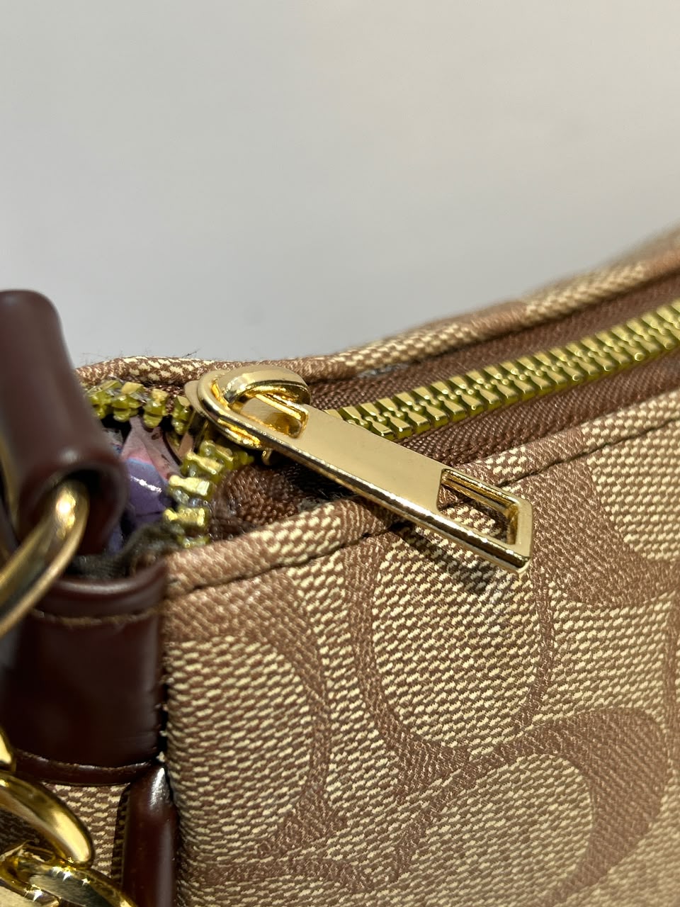 Coach Teri Bag – Elegant & Versatile Everyday Fashion Bag
