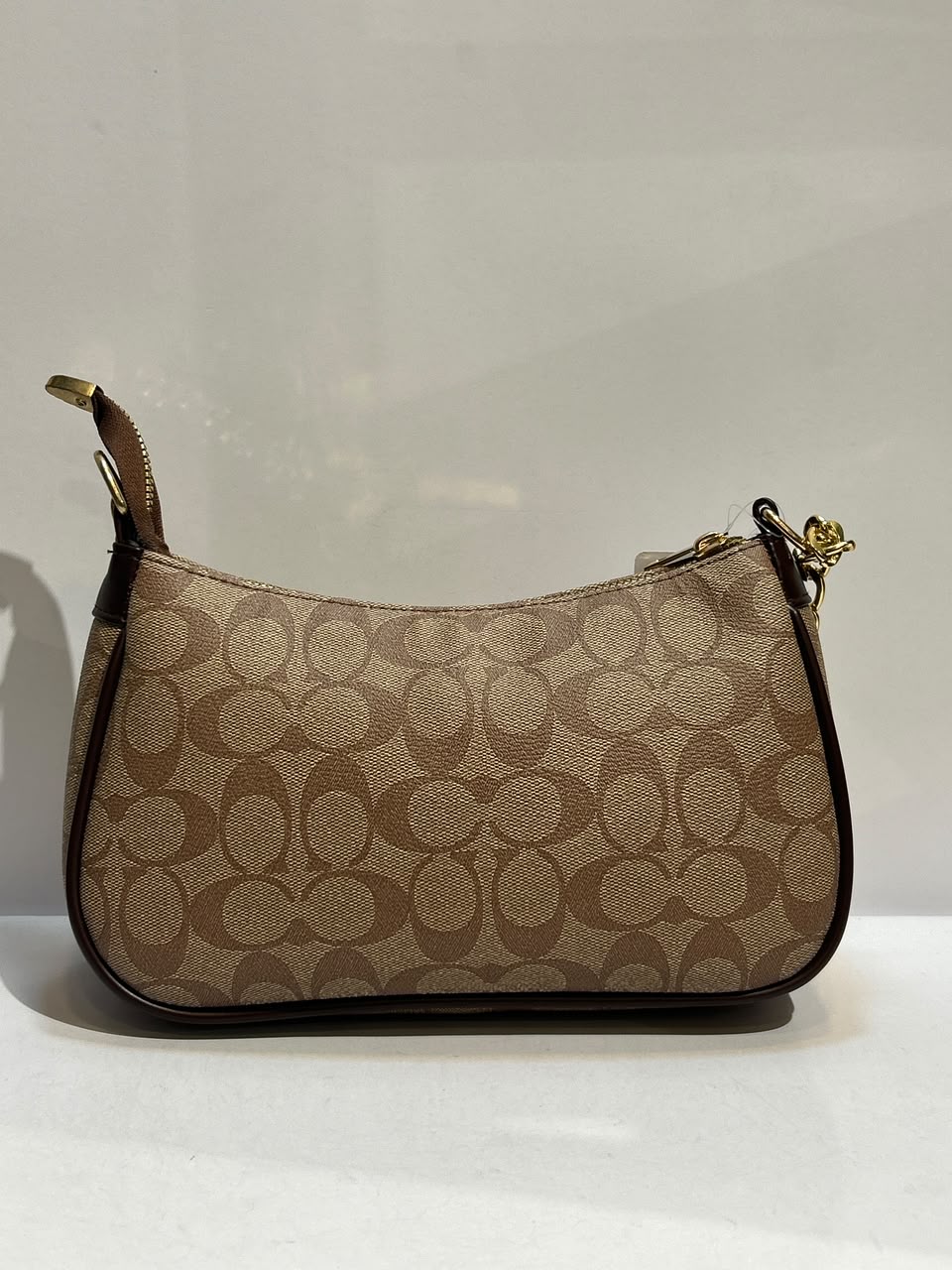 Coach Teri Bag – Elegant & Versatile Everyday Fashion Bag