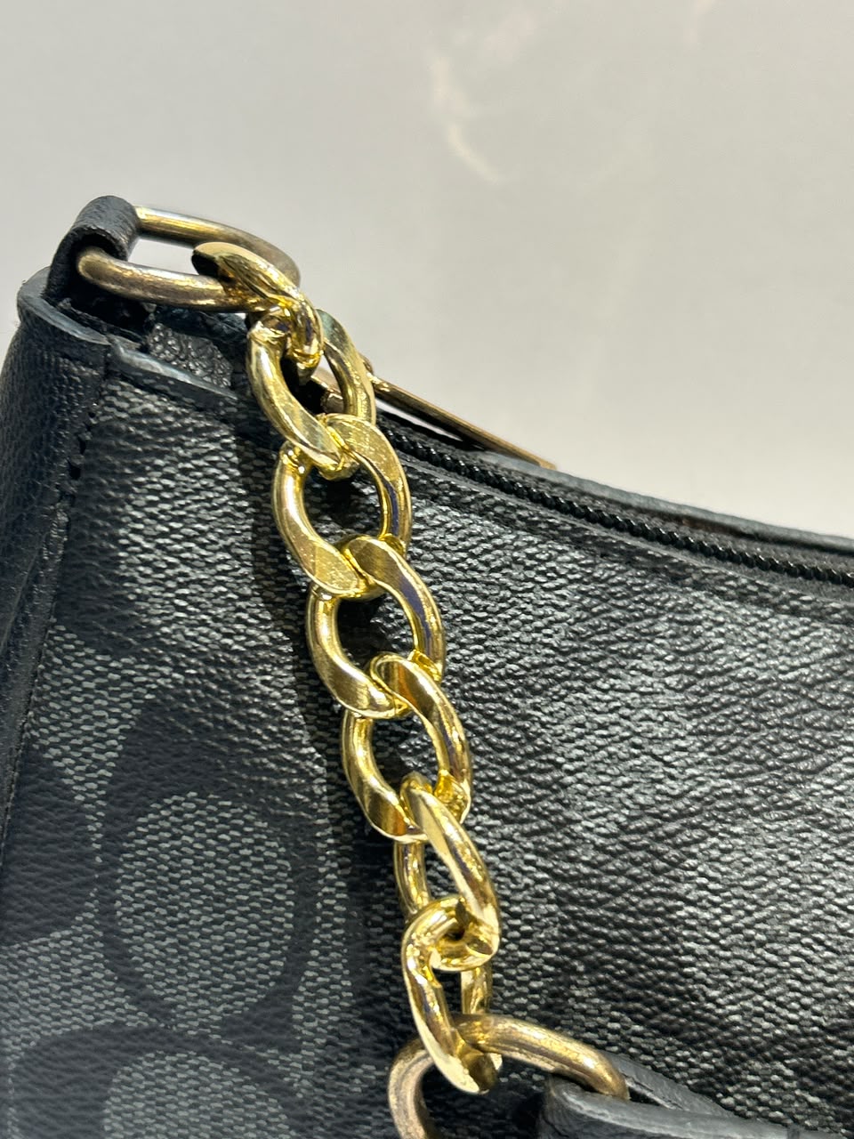 Coach Teri Bag – Elegant & Versatile Everyday Fashion Bag