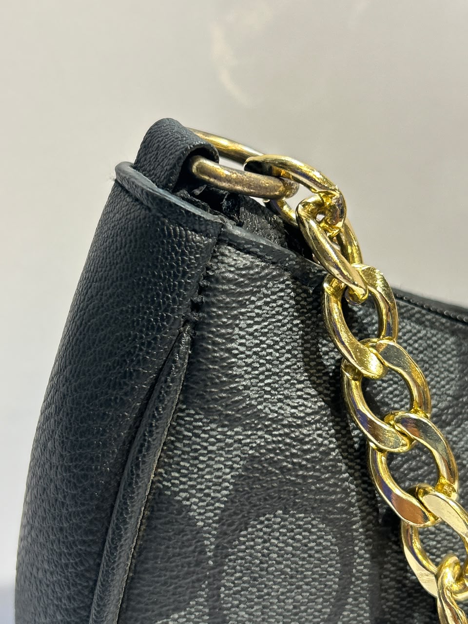 Coach Teri Bag – Elegant & Versatile Everyday Fashion Bag