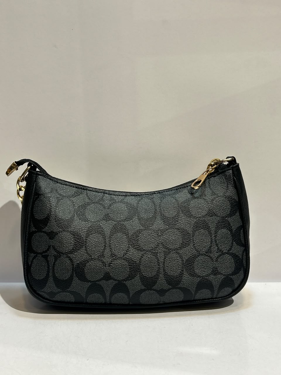 Coach Teri Bag – Elegant & Versatile Everyday Fashion Bag